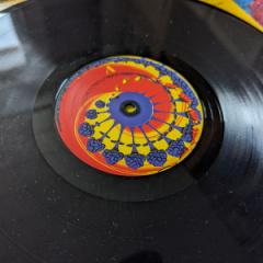 PXL_20231024_083418082