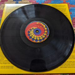 PXL_20231024_083430341