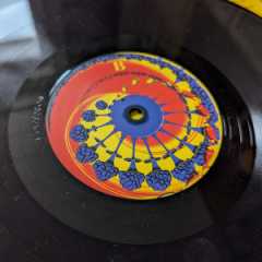 PXL_20231024_083434535