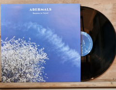 LP-abermals-01
