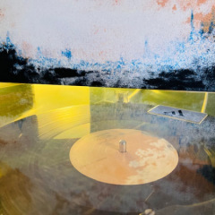 Admiral Fallow- The Idea Of You
