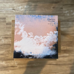 Admiral Fallow- The Idea Of You