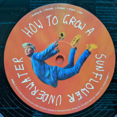 PXL_20221222_125701846