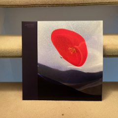 IMG_4986