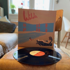 Andy Shauf - Wilds