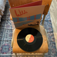 Andy Shauf - Wilds