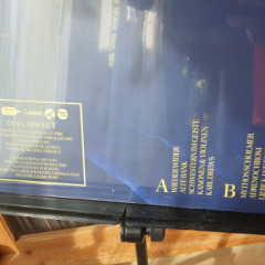 LP-anna-absolut-ultra-02