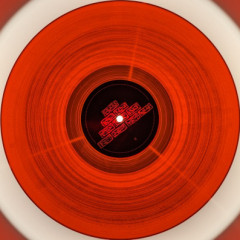 PXL_20240123_202502334.MP_
