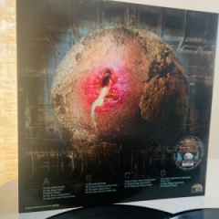 Bernhard Gander - Oozing Earth