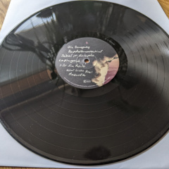 PXL_20230216_095331000