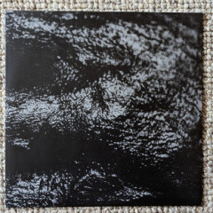 PXL_20231102_0838374612