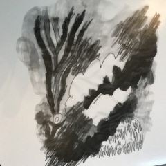 IMG_9907