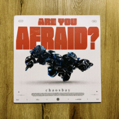 Chaosbay - Are You Afraid?