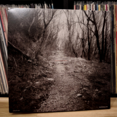 Charlie-Risso-Rituals-5