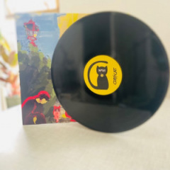 CoppiCat - Widerstände