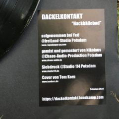 dackelkontakt-5