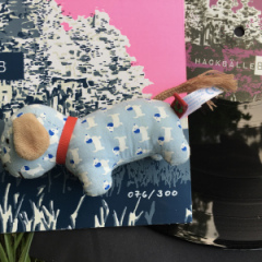 dackelkontakt-6