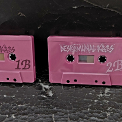Deskomunal Chaos - s/t (Double Tape)