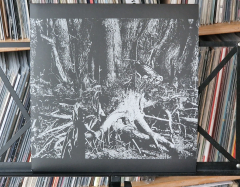 LP-duesenjaeger-schnee-04