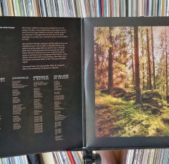 LP-dwaal-never-enough-03a
