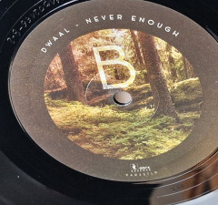 LP-dwaal-never-enough-08a