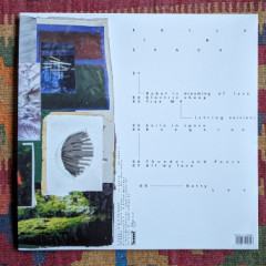 PXL_20231201_1418549352