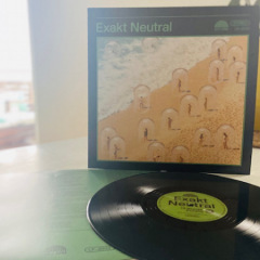 Exakt Neutral - 13 wunde Punkte