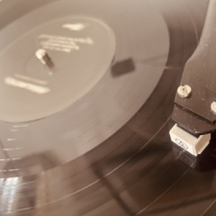 Fabrizio Cammarata - Insularities