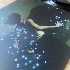 Fabrizio Cammarata - Insularities