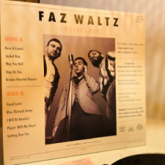 Faz Waltz  - Endless Beat