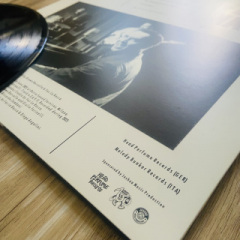 Faz Waltz - Strikes Ten
