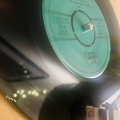 Faz Waltz - Your Lovin' Really Got me Wild!