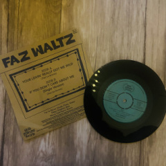Faz Waltz - Your Lovin' Really Got me Wild!