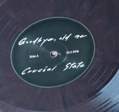 LP-crucial-state-goodbye-old-me-06