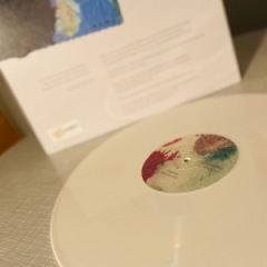 Grey Paris - Lee Waves
