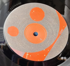 LP-hidden-by-the-grapes-opus-05