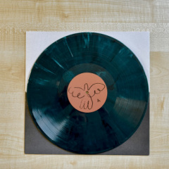 Hollow Coves - Nothing to Lose