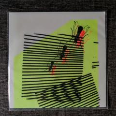 I-Am-The-Fly-PatternFunction2