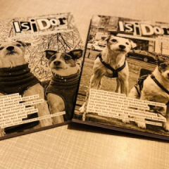 Isidor - Ausgabe 7 / 8