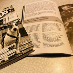 Isidor - Ausgabe 7 / 8
