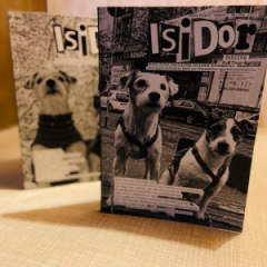 Isidor - Ausgabe 7 / 8