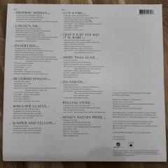 John-Vincent-III-Songs-for-the-Canyon6