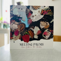 Meeting Palms - Noise between the Shades