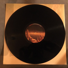 Monstereo-5