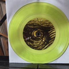 7inch-neckarions-04