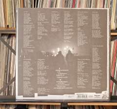 LP-oiro-ratatata-02