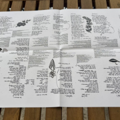 Das auseinandergefaltete Lyrics-Sheet in schwarzweiß mit einigen Illustrationen und allen Texten.