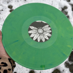 Ene grün marmorierte Vinyl mit einem schwarzweißen Etikett, auf dem geschrieben steht „mehr“ bei einem Gänseblümchen mit fehlenden Blütenblättern, wird von einer Hand gehalten.