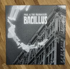 Paul-The-Microcosm-Bacillus1