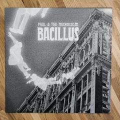 Paul-The-Microcosm-Bacillus2